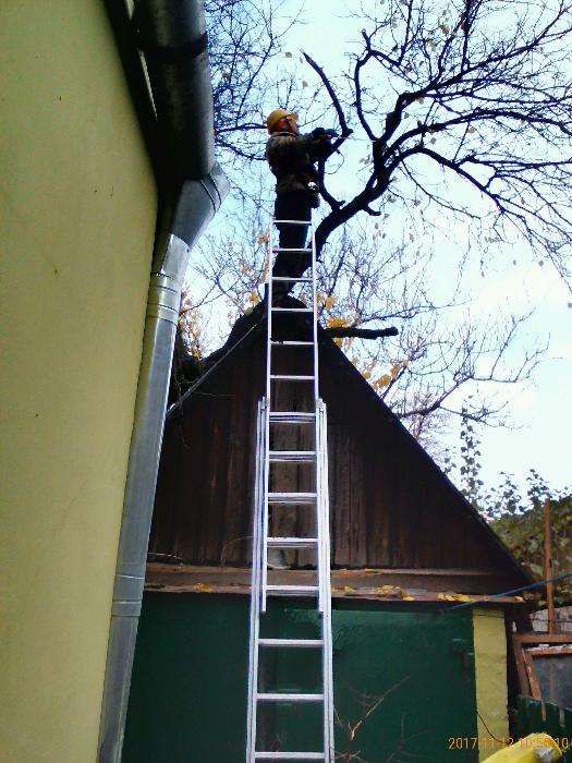 Обрезка аварийных веток. Дробление веток. Спил деревьев, пней.