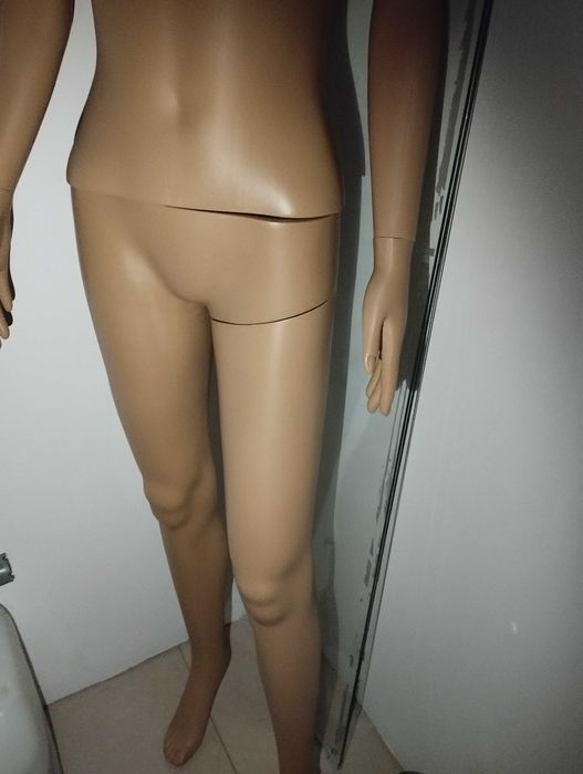 Vendo manequim e expositor de brincos e colares