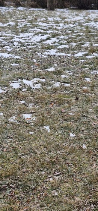 продам земельну ділянку в с. Посад-Покровське під ОСГ площею 1,5 га