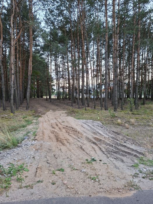 Zdjęcie 8