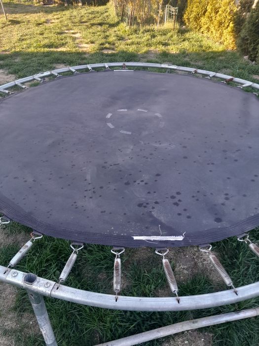 Membrana trampoliny