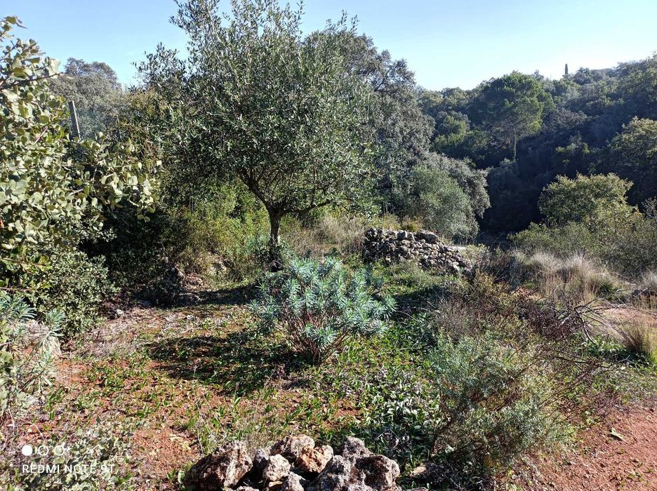 TERRENO COM Projeto de Construção Aprovado