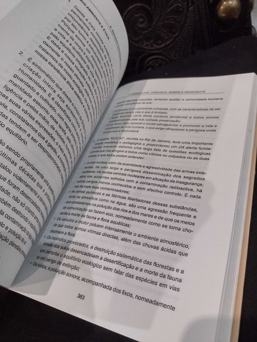 A Pessoa Vive, Comunica, Morre e Ressuscita - Frei Bernardo Domingues