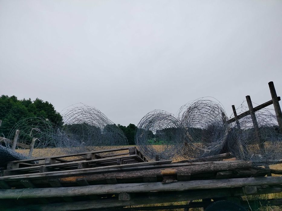 Siatka leśna różnej wielkości