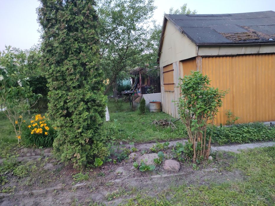Ogródek działkowy