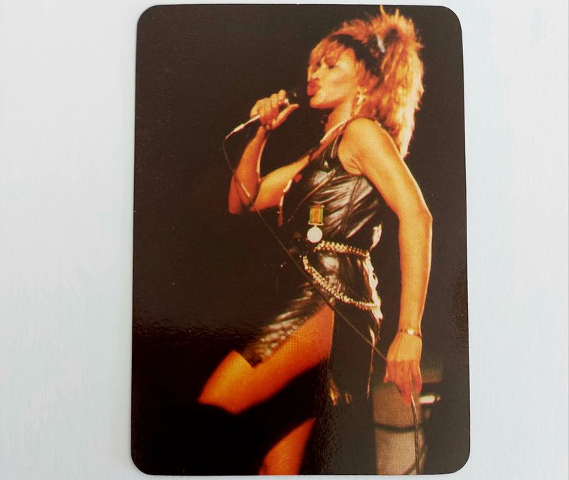 TINA Turner - 12 calendários