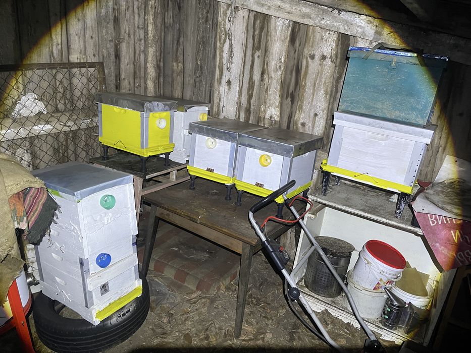 Бджолині вулики нові  та   б.у.