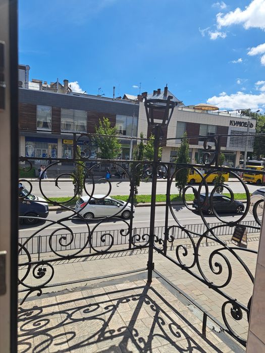 Подобово Двокімнатні апартаменти у центрі міста Чорновола