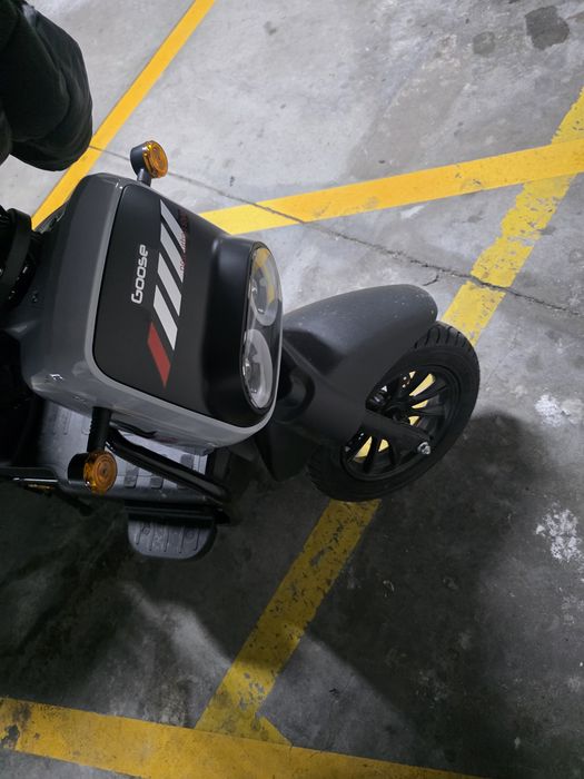 Vortex falcon f24