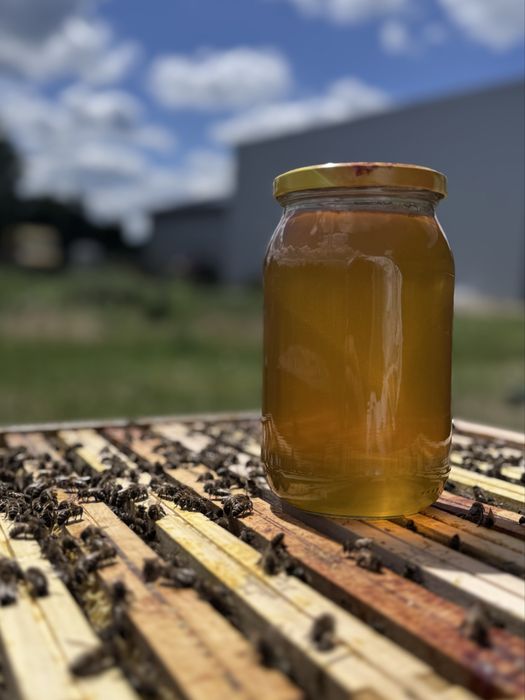 Miód wielokwiatowy prosto z Pasieki