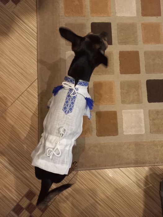 Вишиванка (льон)