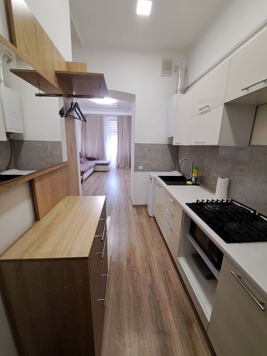 Подобово Двокімнатні апартаменти у центрі міста Чорновола