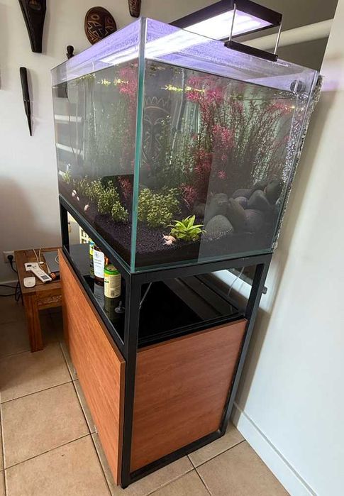 Vendo Aquário de 90x50x50 e móvel em ferro – apenas 200€