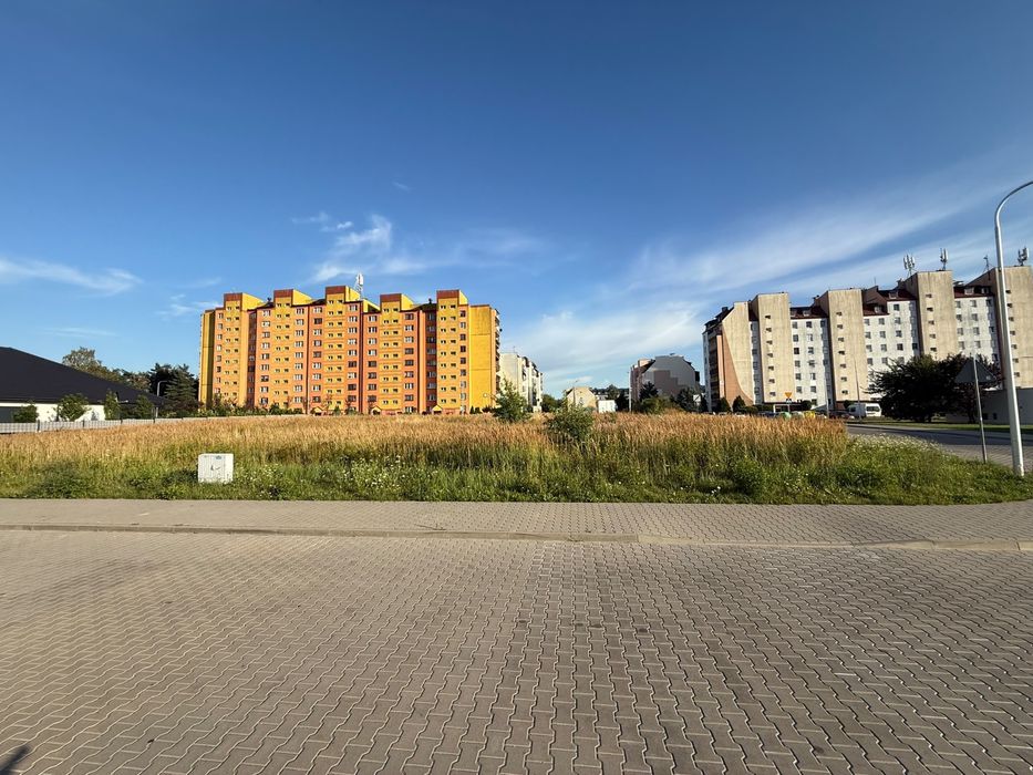 Zdjęcie 7