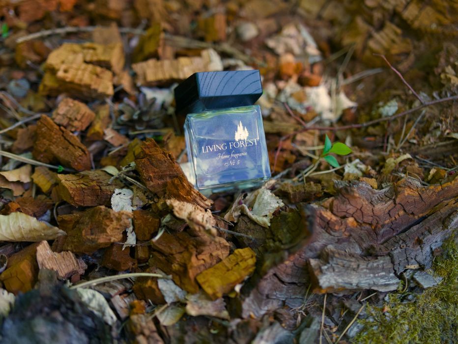 Naturalny dyfuzor zapachowy