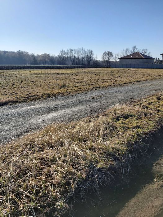 Działka  zagrodowa.