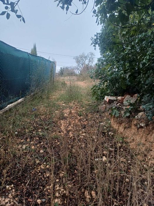 Terreno com Duas Ruínas para Desenvolvimento Messines de Baixo Algarve