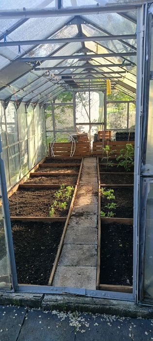 Na sprzedaż działka ROD – około 3 ary, pięknie zagospodarowana