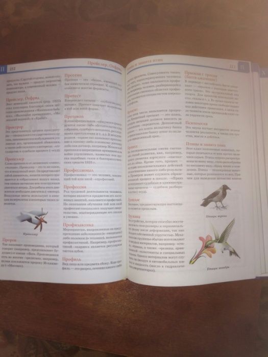 Большая иллюстрированная энциклопедия ЭРУДИТА