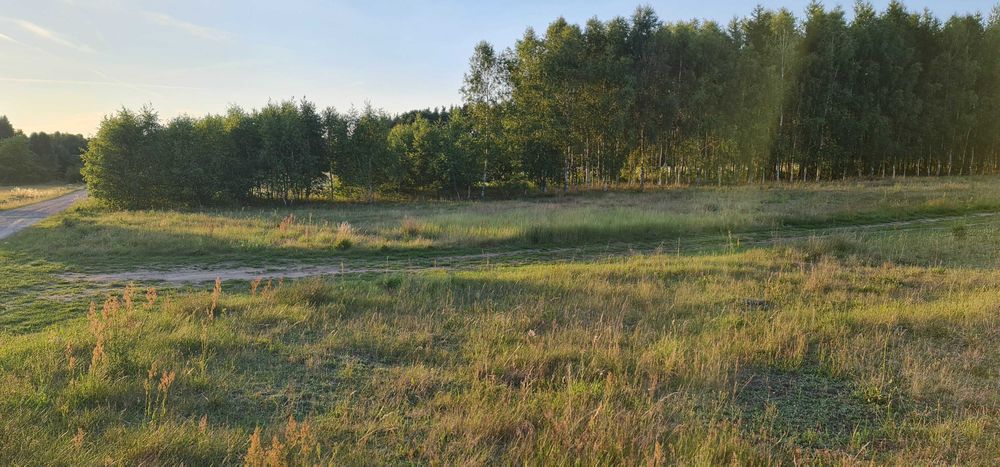 Działka z warunkami zabudowy 1500m Sławoborze prostakątna - Widok 2