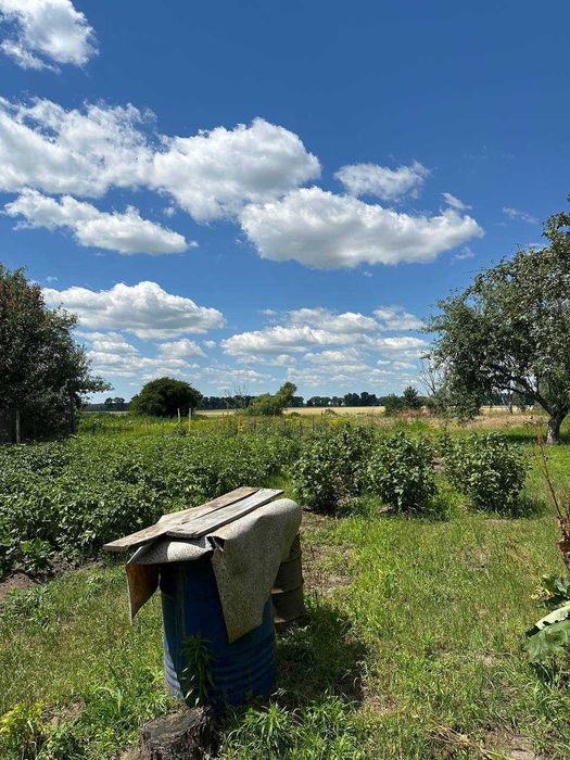 Продаж цегляного будинку з меблями с.Мостище, Козелецький район