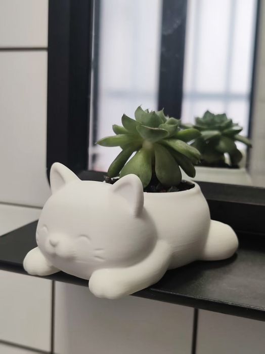 Vaso gatinho suculenta