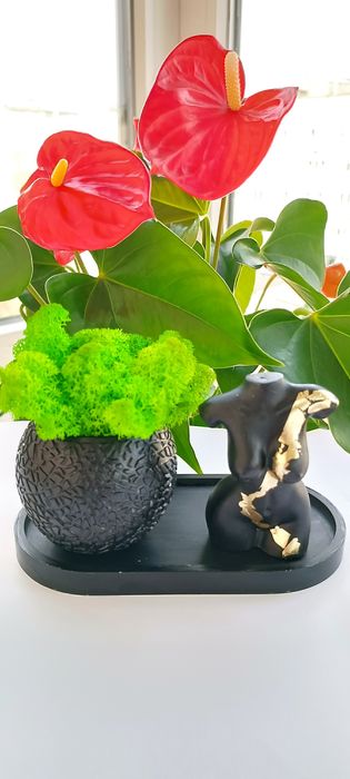 Натуральні масажні свічки