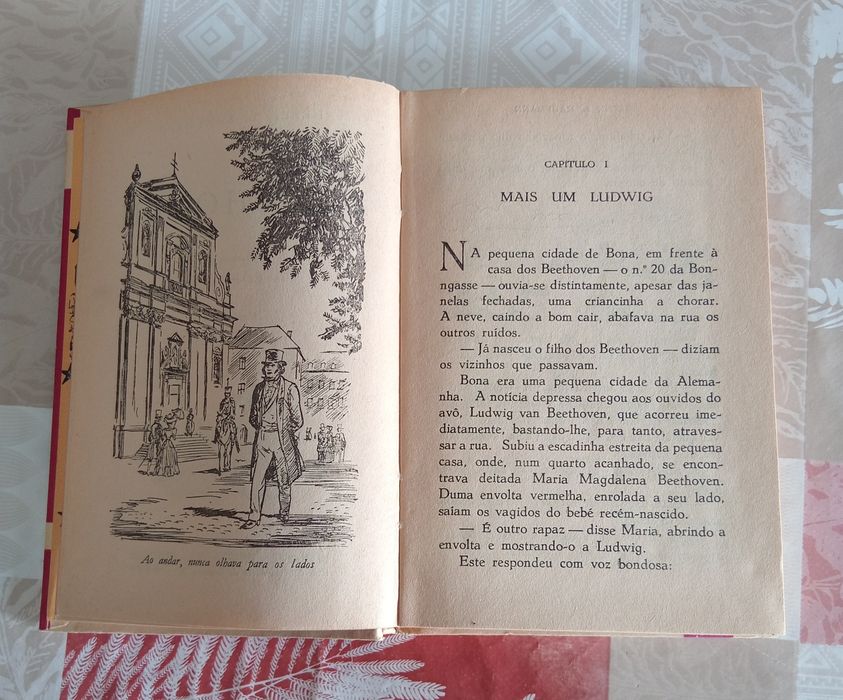 Livro Beethoven antigo