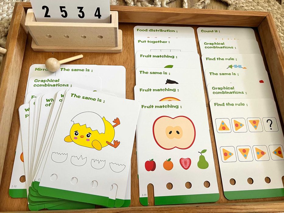 Jogo de Lógica e Pensamento Matemático - montessori