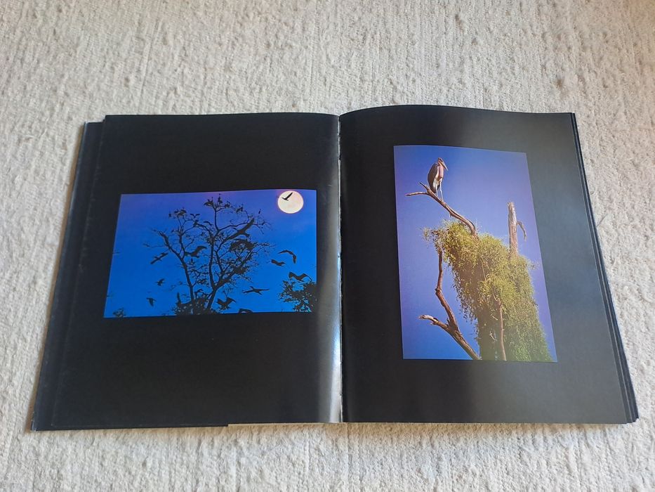 Livro de fotografia: "Os sete dias" de João Avelino Marques