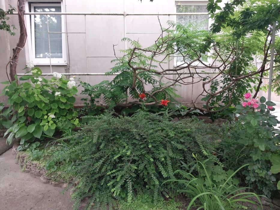 Здам будиночки біля моря