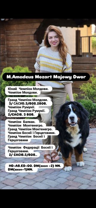 Шикарна  FIDGI, дівчинка 13 липня народилась,5 місяців