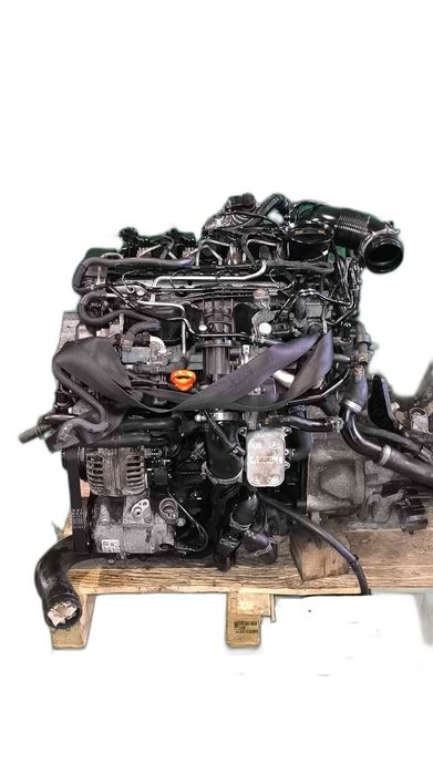 Motor Completo VW GOLF VI 1.6 TDI (77 kW / 105 cv) [02.2009 - 11.2012] CAYP (OEM)
