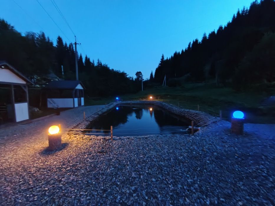 Відпочинок в Карпатах