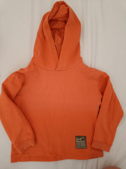 2x Bluza ANIMAL i H&M rozmiar 110-116