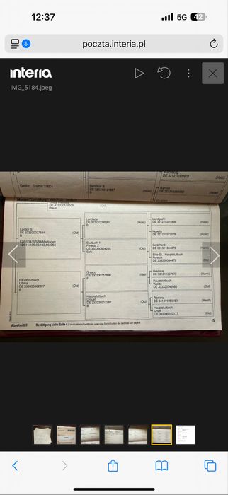 Klacz - wszechstronna