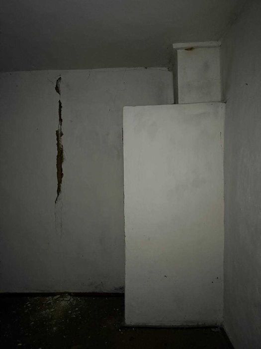 Велика хата (будинок) в Луцькому районі, с.Холоневичі