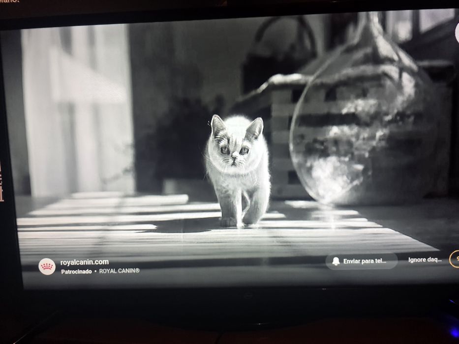 Smart TV 32' ledtv