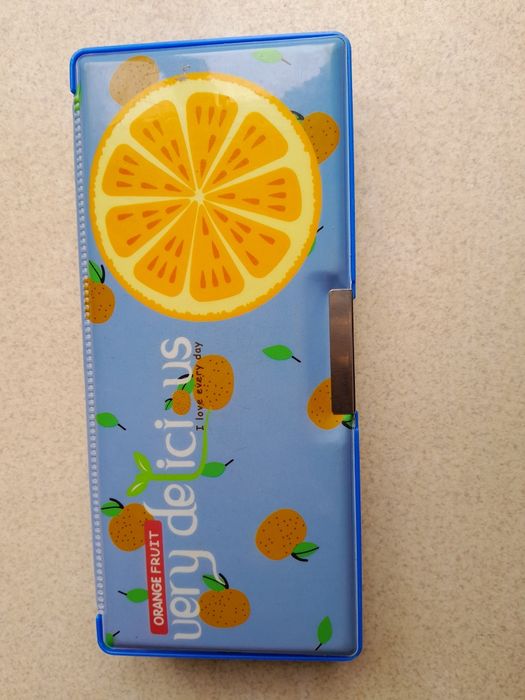 Пенал пластмассовый для школьников