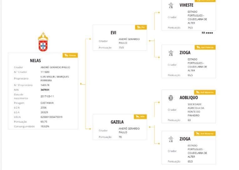 Egua Lusitana Aprovada