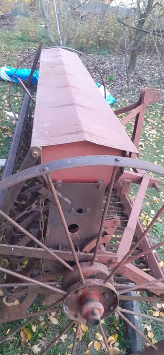 Sprzedam owies tegoroczny