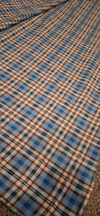 Koc niebieski kratka