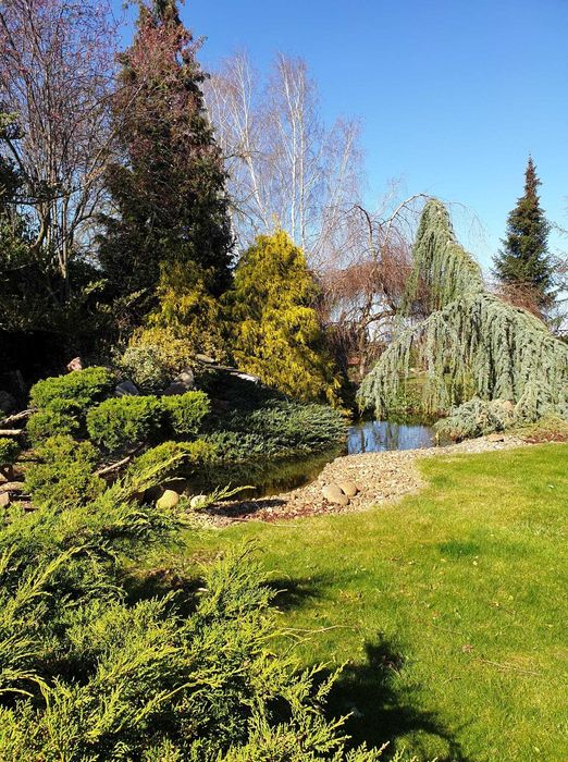 Usługi ogrodnicze - zakładanie i pielęgnacja ogrodów