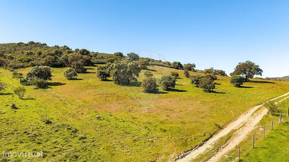 Terreno  para venda