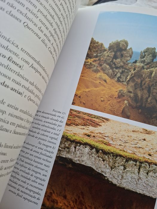 Habitats Naturais e Seminaturais de Portugal Continental ed Assirio e Alvim ICNB