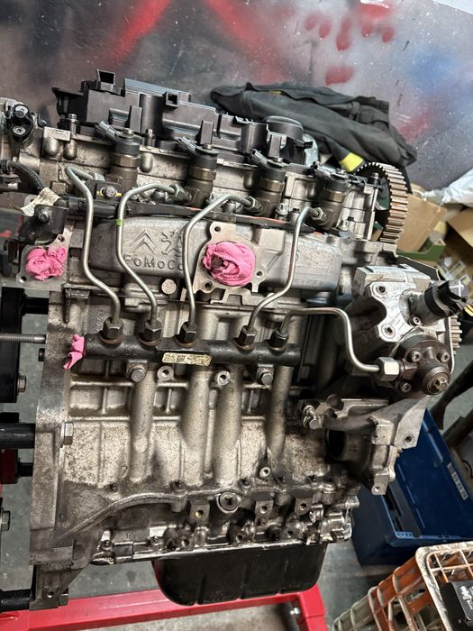 Silnik 1.6 hdi peugeot