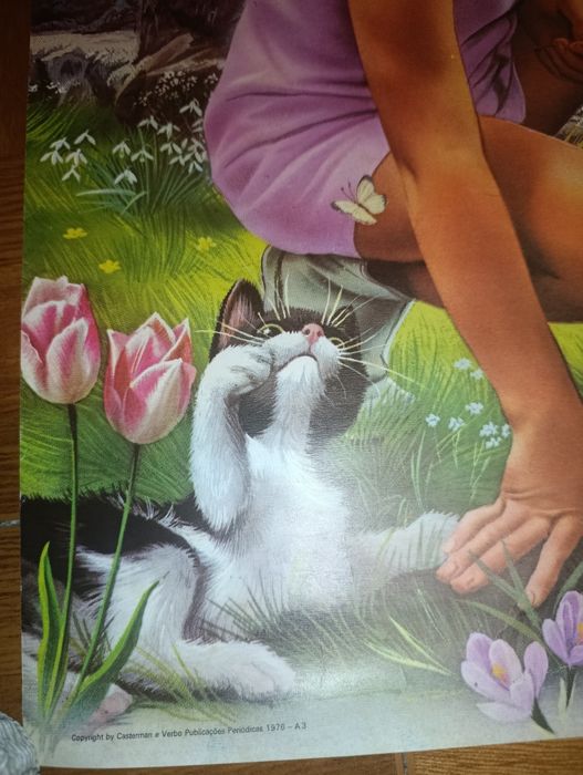 Raro Cartaz Anita no Jardim 1976