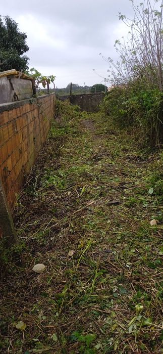 Serviço de limpeza de terrenos