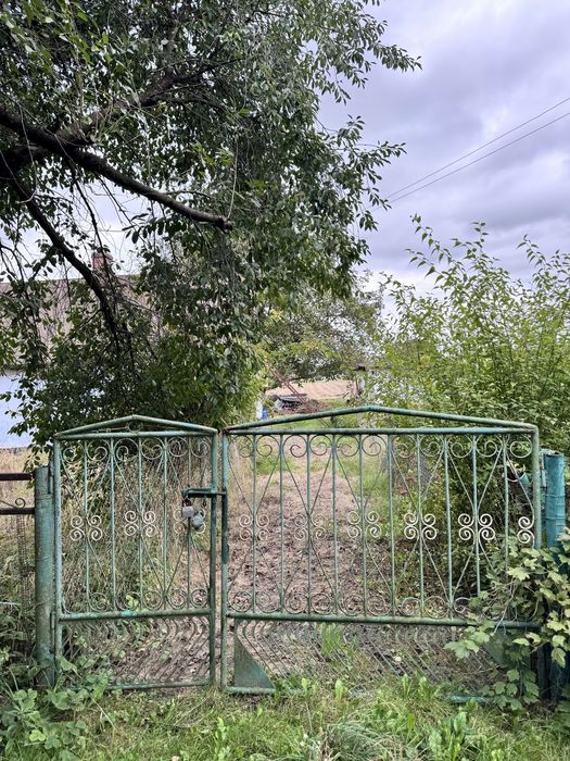 Продаж ділянки 50 сотих с.Романів