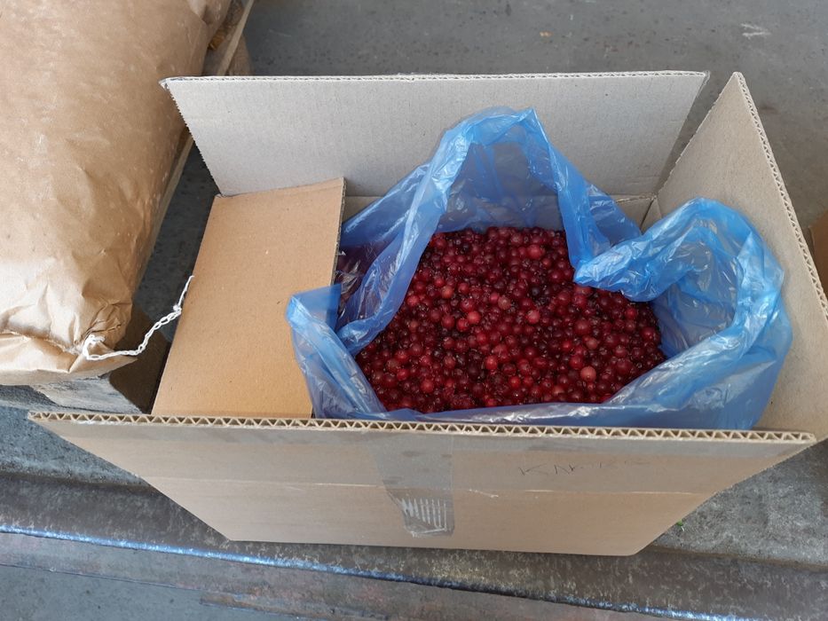 Клюква Журавлина